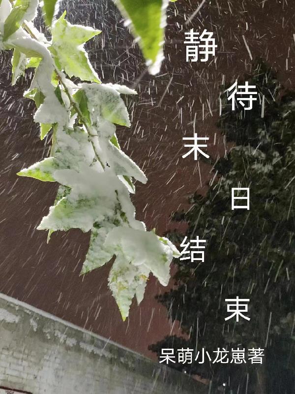 龙王婿萧战姜雨柔免费阅读