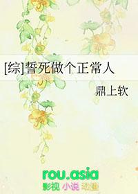 海贼无双4豪华版